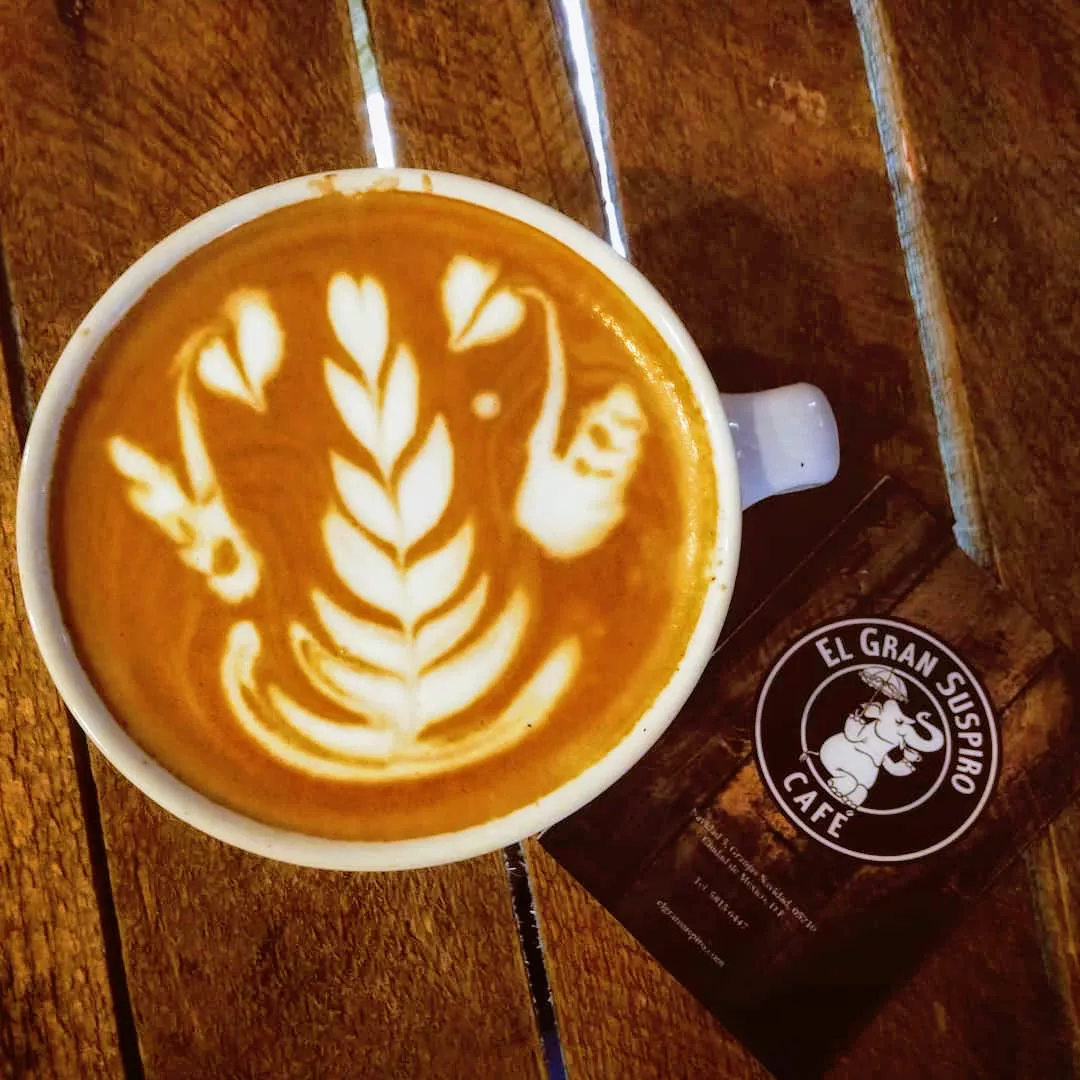 Tulipan en arte latte